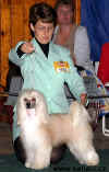 BOB, Nrodn vtz 2004 - Cody z Haliparku