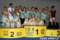 z Haliparku CCD breeders group - 2nd place CACIB Bratislava 19.8.2007. Thanks to judge Enrique Mate Duran from Spain!!!