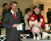 Ch. Kitty z Haliparku BOB Champion od Champions 2007, judge: Paul Stanton (S). Many thanks!
