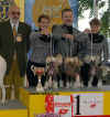 Winner breeders group Modr kvt - 11.10.2003
