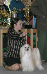 Ich. Cody z Haliparku a Lucie Kotrov - juniorhandling CB 9.10.2005