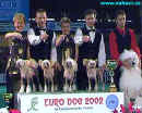 Winner breeders group - Modr kvt - chinese crested dog - Czech republic - breeder: Ji Pospil.