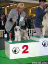 Reserve BIS puppy - Jasnnka Powder od Chlpk - majitel Thoma-Nemanic. Blahopejeme!!!