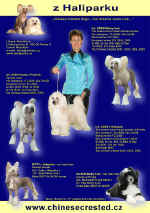 Our Dogs Annual 2007 - stanice z Haliparku