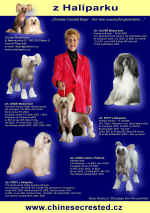 Ročenka - Our dogs Annual 2008 - z Haliparku kennel - chystáme se na Crufts!